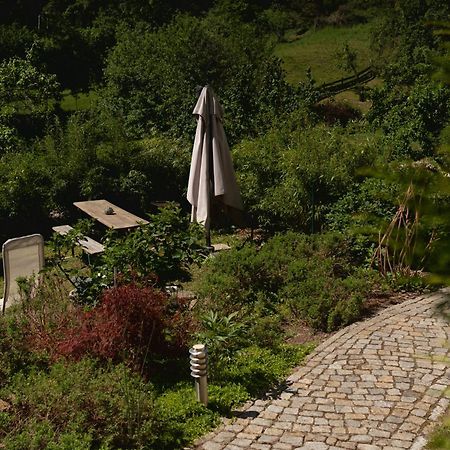 Haus Am Berzdorfer See - 3 Schlafzimmer - Ganzes Haus Zur Alleinnutzung - Terrasse - Hochwertige Ausstattung Görlitz Εξωτερικό φωτογραφία