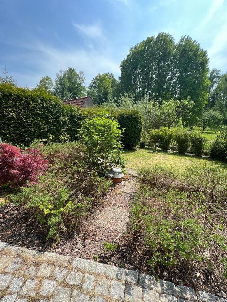 Haus Am Berzdorfer See - 3 Schlafzimmer - Ganzes Haus Zur Alleinnutzung - Terrasse - Hochwertige Ausstattung Görlitz Εξωτερικό φωτογραφία